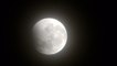 Super Blood Wolf Moon wows stargazers