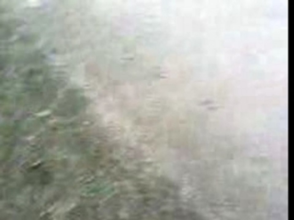 SV_A0146