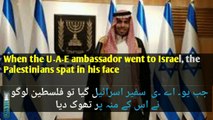 When the U۔A۔E ambassador went to Israel, the Palestinians spat in his face