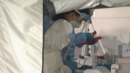 어제 신규환자 280명...사랑제일교회 누적 915명 확진 / YTN