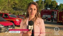 Bouches-du-Rhône : près de 500 hectares de végétation ravagés par un vaste incendie