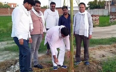 इटावा: सपा जिला अध्यक्ष ने किया वृक्षारोपण