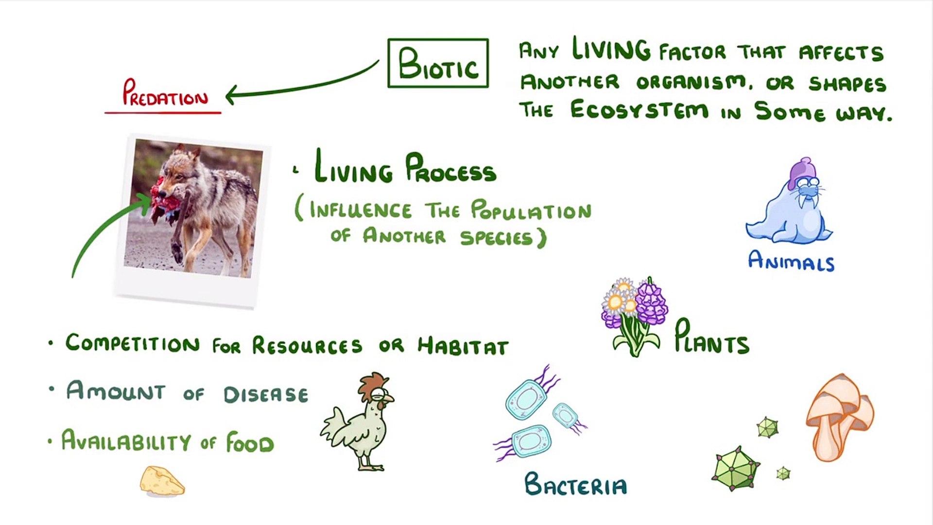 ⁣Biology - Biotic and Abiotic Factors