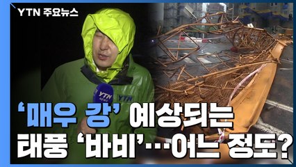 [앵커리포트] '매우 강' 예상되는 태풍 '바비'...등급에 따른 위력은? / YTN