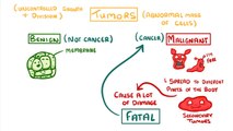 Biology - What is Cancer 'Benign' and 'Malignant' Tumours Explained #23