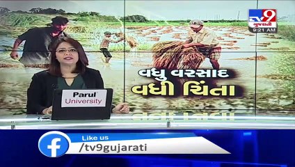 Heavy rains destroy crops in Gujarat - TV9News