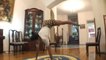 Girl Shows Off Flexibility Via Tricks