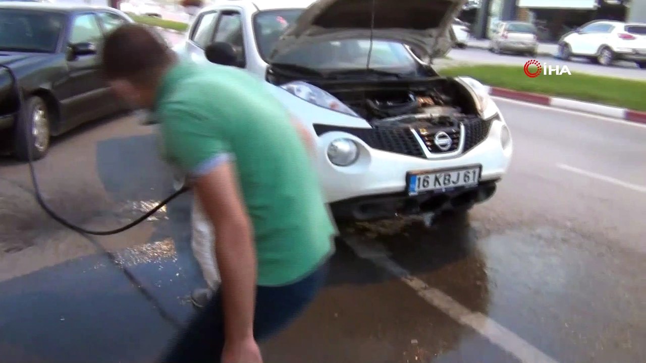 Yaramaz kedi bir arabadan çıktı, diğerine girdi