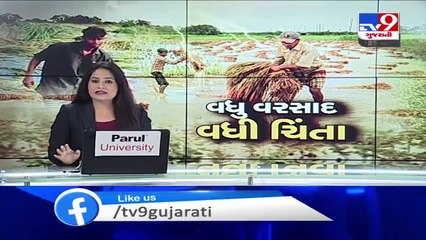 Incessant rains destroy crops in Bhavnagar - TV9News