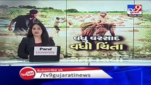 Tv9 Impact! Irrigation officer assures proper compensation to farmers in Jamnagar - TV9News