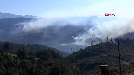 Adana'daki yangın üçüncü gününde kontrol altına alındı