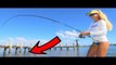 Inshore FISHING THE DOCKS for Snook! Stuart Florida Fishing Video!
