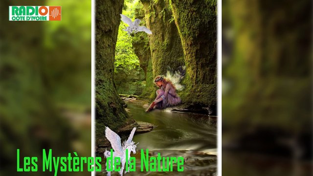 Les Mystères de la Nature du 24 août 2020/Les techniques pour bien gérer sa journée spirituellement par Abou Philo et Maître Bamba