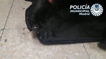Detenido un hombre por grabar partes íntimas de mujeres con una cámara incrustada en una maleta
