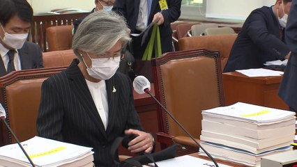 외교부 "남북미 대화 동력 재점화 외교 노력 강화" / YTN