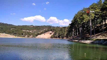 Çevreci gençten örnek davranış