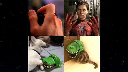 Funny memes videos Season 1 episode 10 ( The Reddit Life)