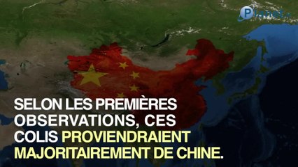 L'arnaque aux graines mystérieuses dans les boîtes aux lettres