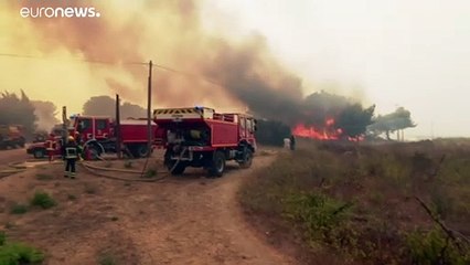 In Südfrankreich stehen die Wälder in Flammen