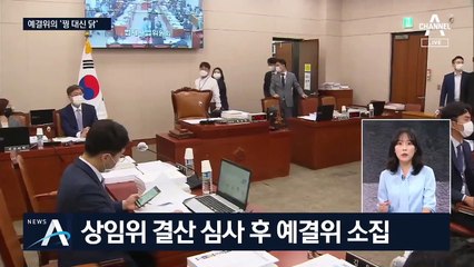 [여랑야랑]예결위 ‘꿩 대신 닭’은 누구? / ‘조국 백서’에 맞서는 ‘흑서’ 출간