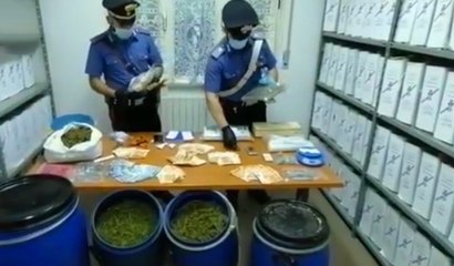 Oristano - Sequestrate piantagioni di marijuana a Montresta e Bosa (25.08.20)