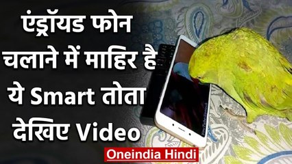 Bihar: Smartphone लवर है ये तोता, YouTube पर खुद से सर्च कर देखता है अपना फेवरेट शो | वनइंडिया हिंदी