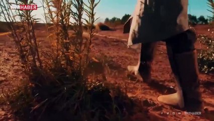 Cumhurbaşkanı Erdoğan'dan Malazgirt paylaşımı