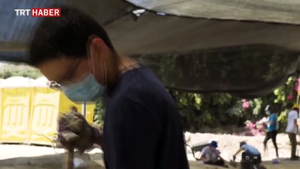 İsrail'deki kazı çalışmasında 425 altın sikke bulundu