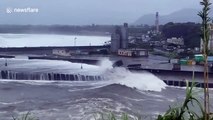 Typhoon Bavi batters Japan with strong waves