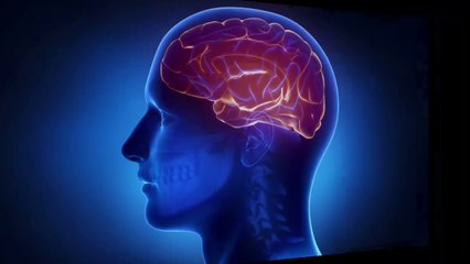 Tải video: habits that damage your brain # interesting facts about brain # Human brain # shout info with duaa