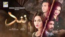 Nand Episode 13 - 25th August 2020 - ARY Digital Drama