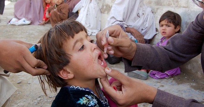 Selon l'OMS, la « polio » serait éradiquée en Afrique mais encore présente en Afghanistan et au Pakistan
