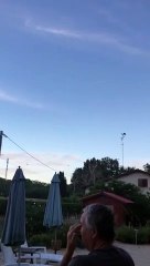 Video. Une cinquantaine de cigognes en vacances à  Sauternes (Gironde)