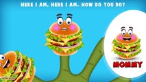 Ice Cream Candy Finger Family - Popular Finger Family Rhymes Collection for Children