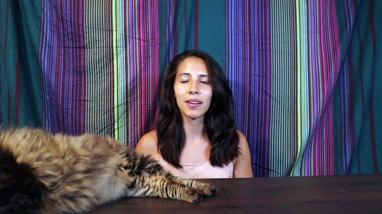 4 Tips to Get a SMALL WAIST || At Home Small Waist Workout