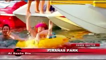 Pirañas park: encuéntrese con estas voraces criaturas en el calor de Iquitos