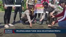 Polres Minut Gelar Pelepasliaran Tukik Di Pantai Cocotinus