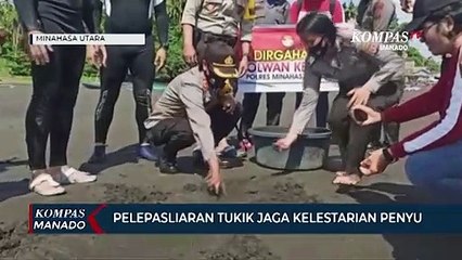 Polres Minut Gelar Pelepasliaran Tukik Di Pantai Cocotinus