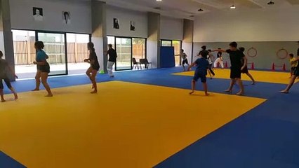 Stage multi-activités - Karaté (août 2020) - vidéo Kihon