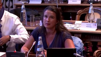 Céline MAGLICA. Questions diverses (accueil des collégiens et FAVA). 24 aout 2020
