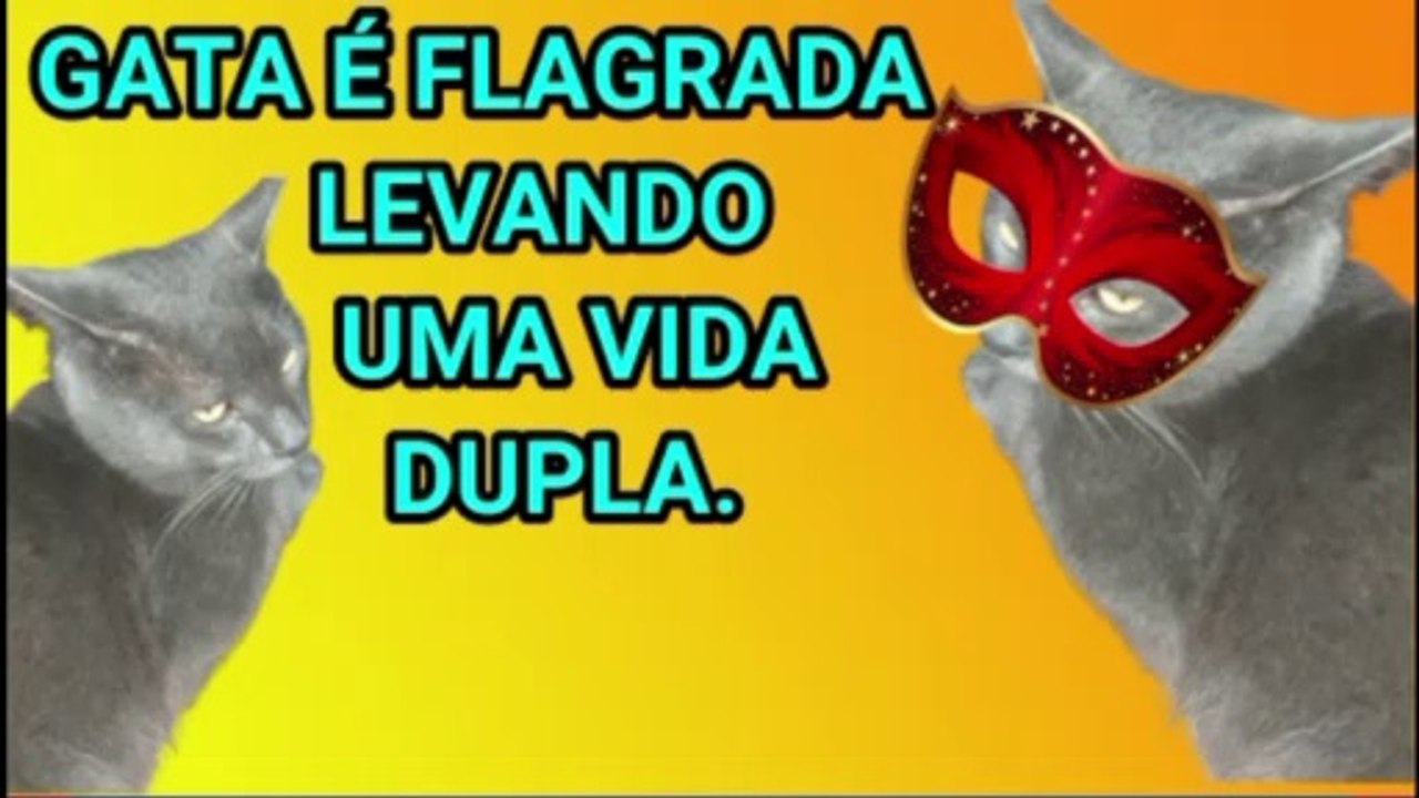 GATA COM VIDA DUPLA, É FLAGRADA PELOS DONOS NO MÉXICO #11