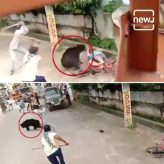 Wild bear attacks man at residential area in Odisha