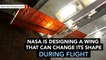 NASA developing wings that change shape during flight