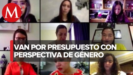 Diputadas piden presupuesto 2021 con visión de género y garantías para las mujeres