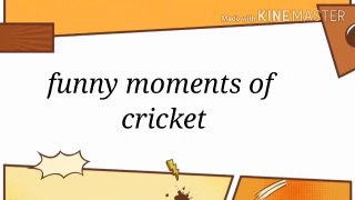 Funny Moments Of Cricket