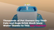 Thousands of Pet Owners Say Their Cats and Dogs Drink Much More Water Thanks to This $30 F
