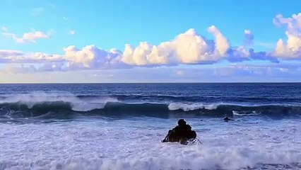 I was almost abducted at the beach~ Meraki Chills