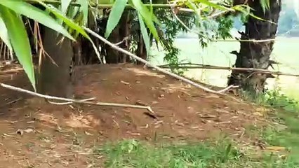 Water flowing, copyright free,