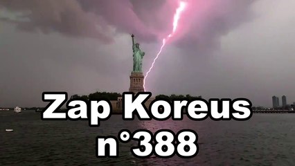 Zap Koreus n°388