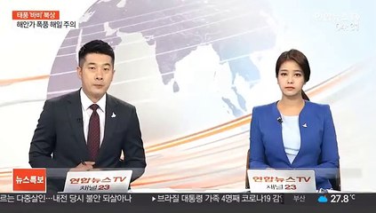 제주공항 "태풍 영향 오늘 항공편 대부분 결항"